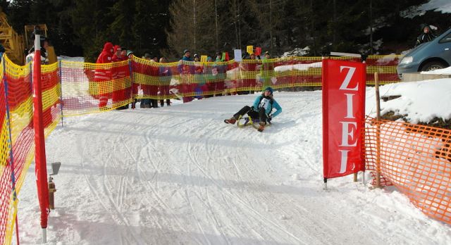 BRM 2013
